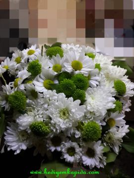 mutluluk destani papatya ve yesil bicme