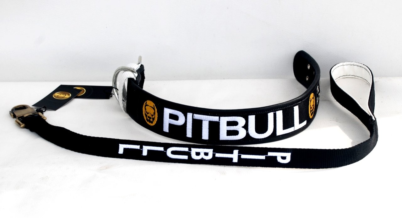pitbull köpek tasması