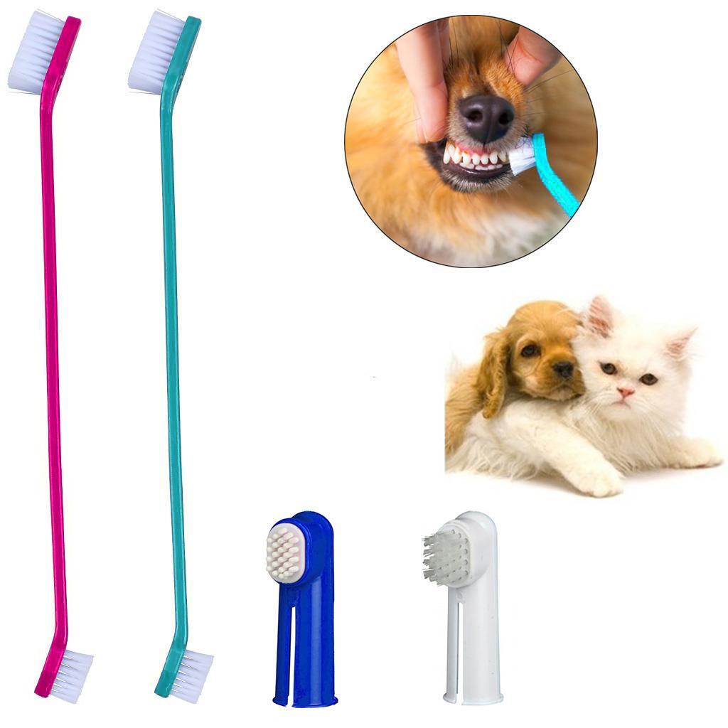 Kedi Köpek Evcil Hayvan Diş Fırçası 22 Cm 3�lü Paket