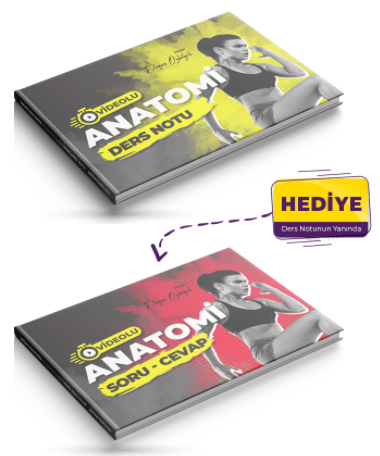 ATP BESYO ÖABT Beden Eğitimi İnsan Anatomisi ve Kinesiyolojisi Ders Notu ve Soru Cevap Kitabı Set - Doğan Özbölgili ATP BESYO Yayınları ATP BESYO ÖABT Beden Eğitimi İnsan Anatomisi ve Kinesiyolojisi Ders Notu ve Soru Cevap Kitabı Set - Doğan Özbölgili ATP BESYO Yayınları