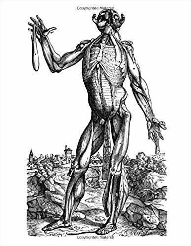 Anatomy Notebook: Skinless Man Muscles 06 - Andreas Vesalius Anatomy Art College Ruled Notebook | 110 Pages (Andreas Vesalius White Cover)