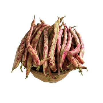 Organik Barbunya (500 Gr)