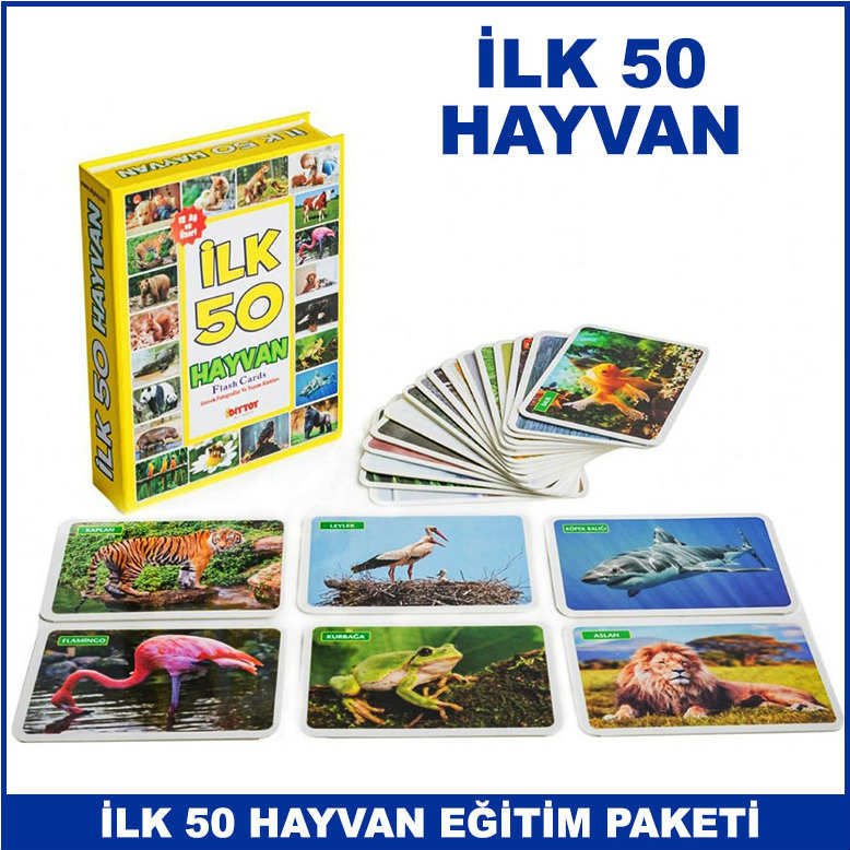 İlk 50 Hayvan Kartları Çocuklar İçin Eğitici Ve Zeka Geliştirici Oyun ...