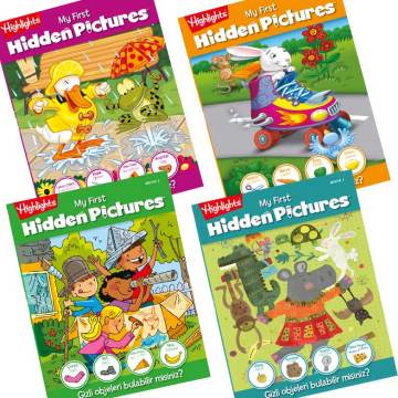 Hidden Pictures 2