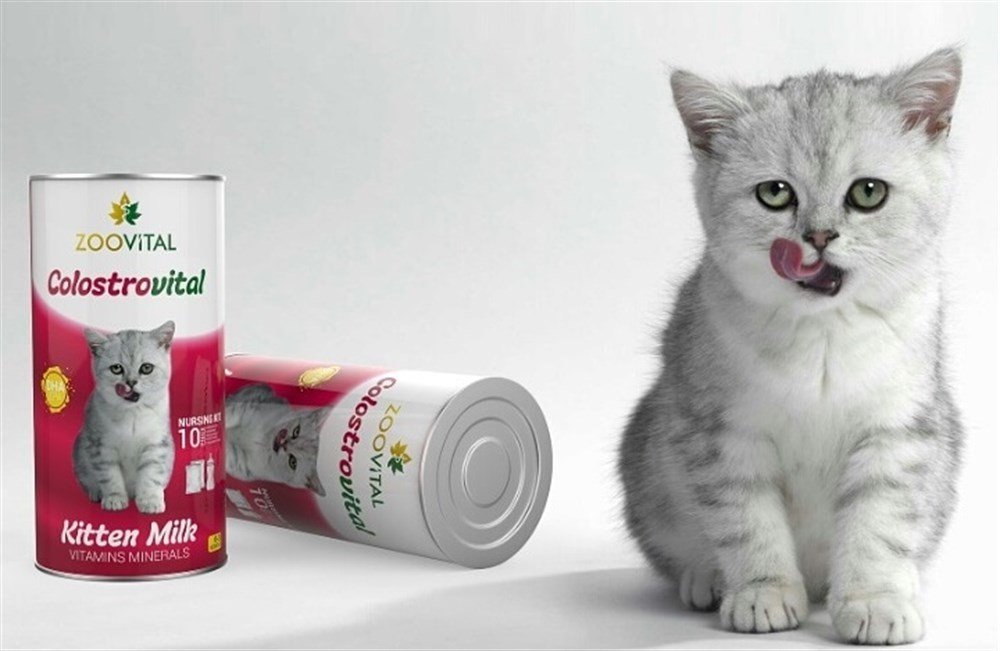 kedi süt tozu nasıl hazırlanır