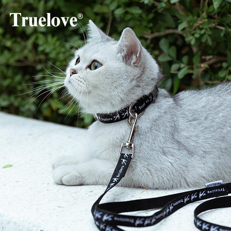 Siyah Kedi Boyun Tasması ve Kayışı True Love Boyun Tasması