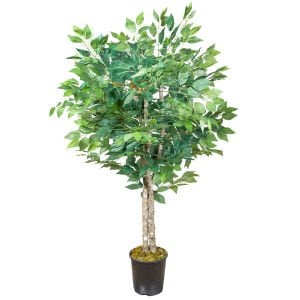 Yapay Ficus Ağacı Çift Gövde Yeşil 135 Cm.