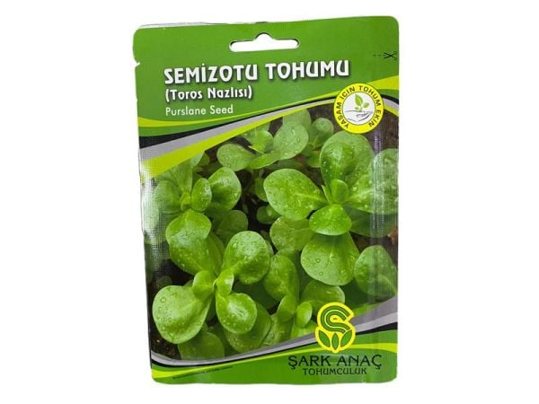 SEMİZOTU TOHUMU