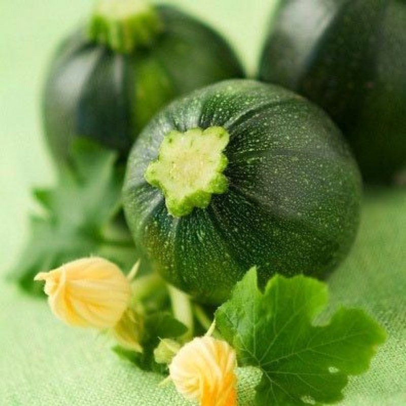 Girit Kabak 1 Kg Fiyatlari Ve Ozellikleri