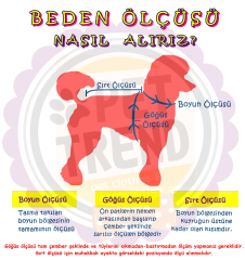Shark Penye Buyuk Kopek Tulumu Buyuk Kopek Kiyafeti Golden Labrador 24kg 38kg