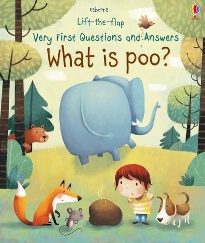 what-is-poo