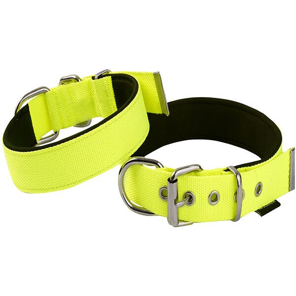 Actirex Neon Köpek Boyun Tasması Sarı M 2x35-40 Cm