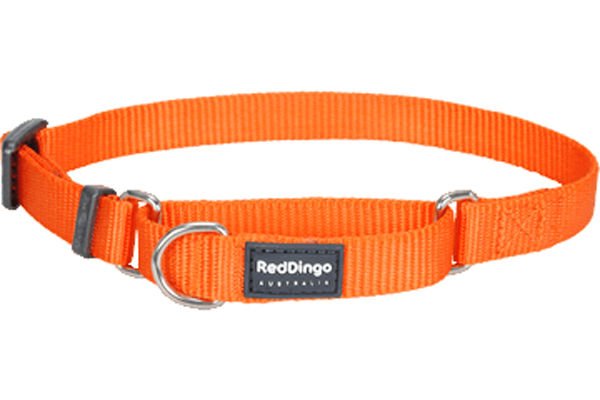 Red Dingo Klasik Turuncu Boyun Eğitim Tasması 25mm