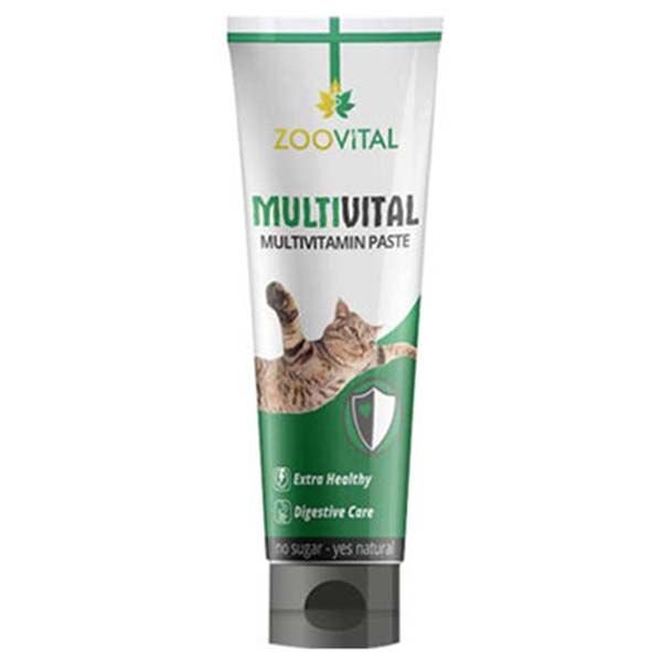 Zoovital 13 Effects Multivitamin Malt Paste Kedi Vitamini 100 Gr