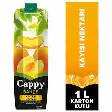 Cappy Tetra Kayısı 1Lt