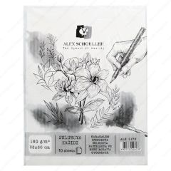 Alex Suluboya Kağıdı 35X50 160Gr 10 Lu Alx-0178