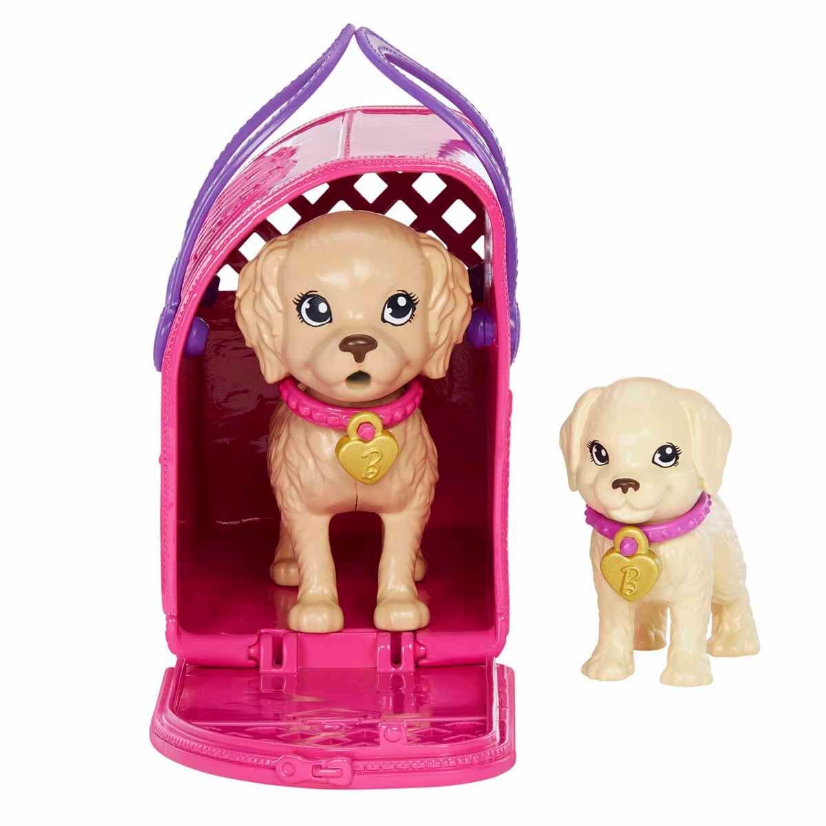 Barbie ve Köpekçikleri Oyun Seti HKD86 HKD85