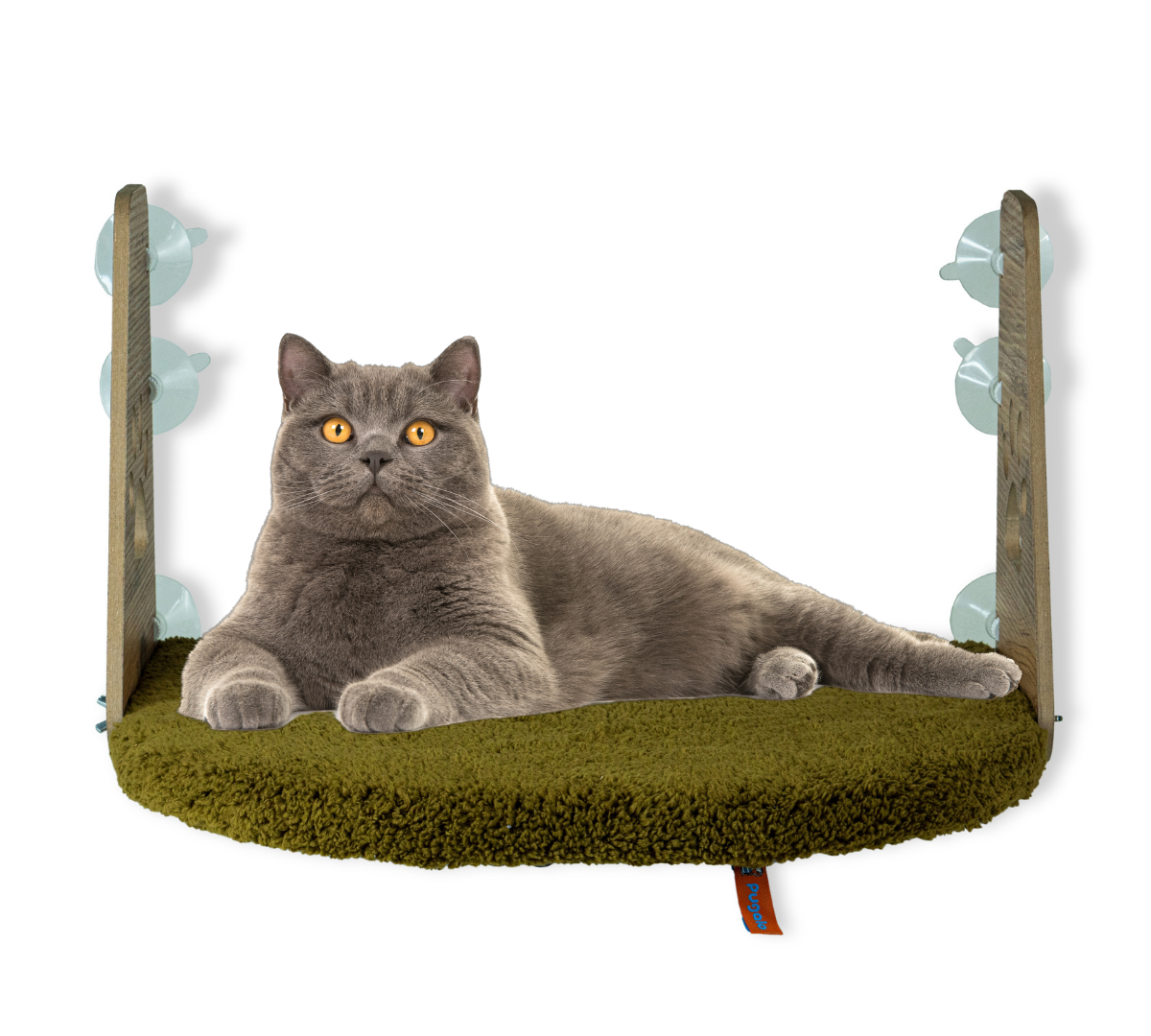 Pugalo Vantuzlu Kedi Cam Yatağı Yeşil