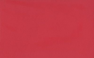 25x40 Emotion Fon Kirmizi