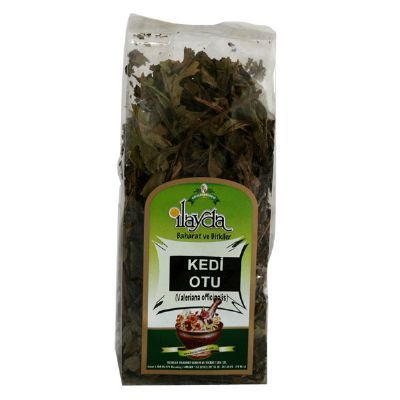 kedi otu