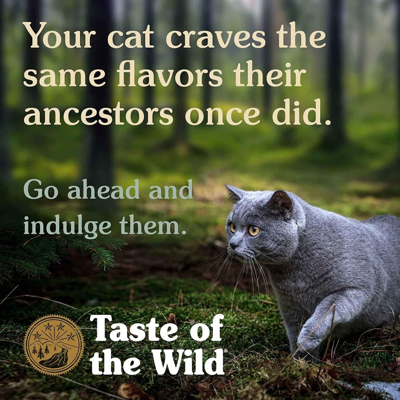 Taste Of The Wild Rocky Mountain Tahılsız Yavru Ve Yetişkin Kedi Maması
