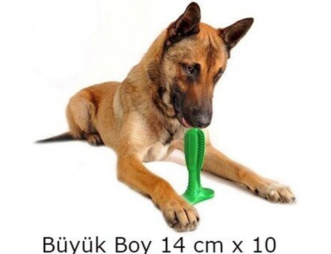 Kopek Dis Fircasi Dis Temizleme Oyuncagi Buyuk Boy Pet Shop Urunleri