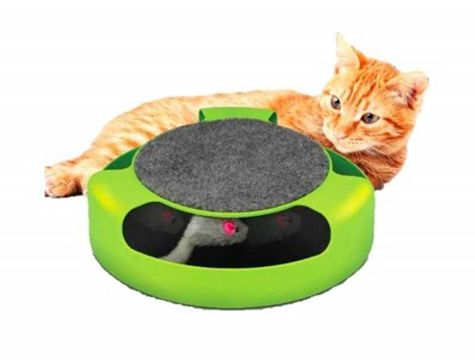 hareketli fareli pet shop