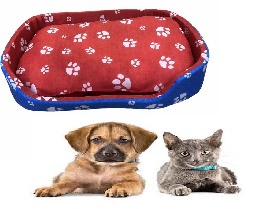 Pati Desenli Küçük Irk Köpek Kedi Yatağı Pet Shop Ürünleri