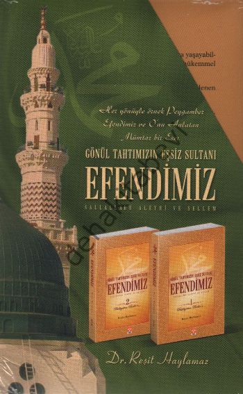 gonul tahtimizin essiz sultani efendimiz s a v 1 2 resit haylamaz isik yayinlari