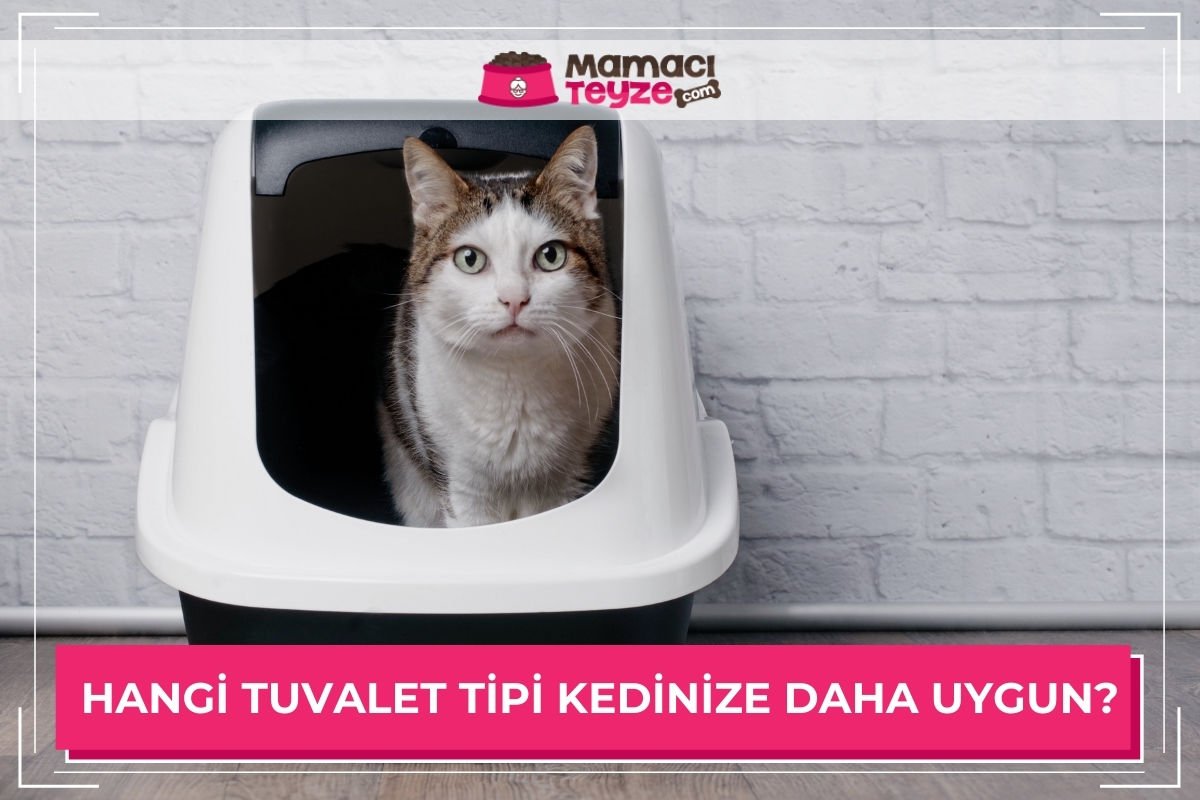 murcia ispanya arkadaş teen pussy gif