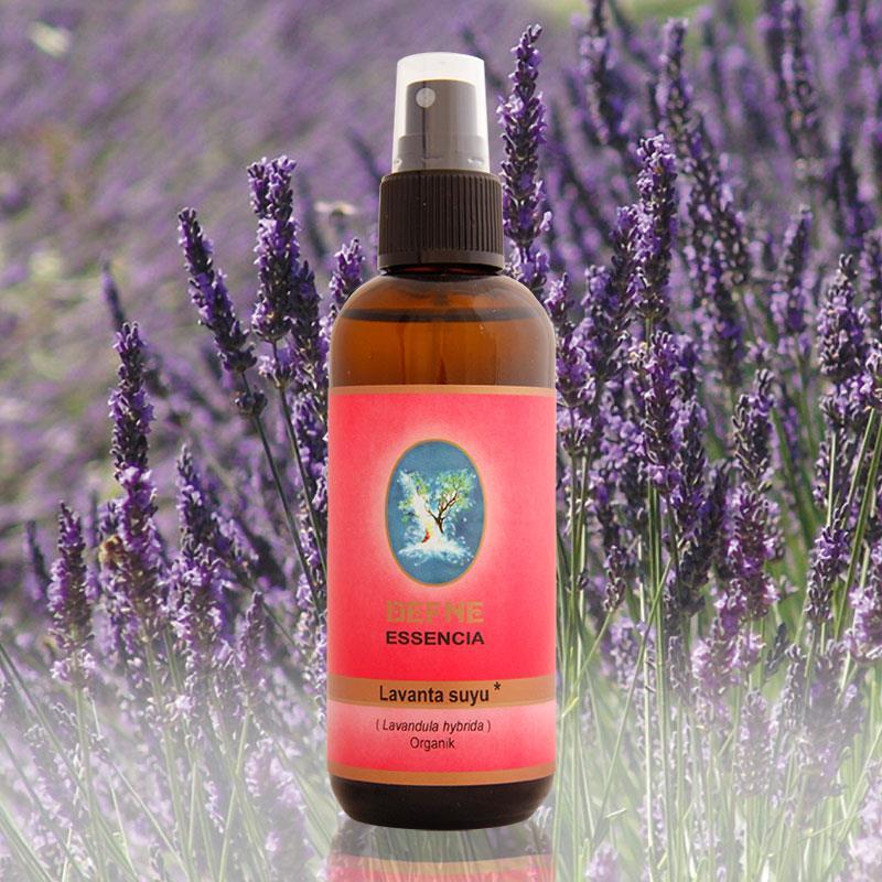 çöpçatan yüzey İstemiyorum Lavanta Suyu - Sprey (100 ml) | Defne Essencia Aromaterapik Temel Yağlar | | Nuka Defne Esencia çöpçatan yüzey İstemiyorum Lavanta Suyu - Sprey (100 ml) | Defne Essencia Aromaterapik Temel Yağlar | | Nuka Defne Esencia