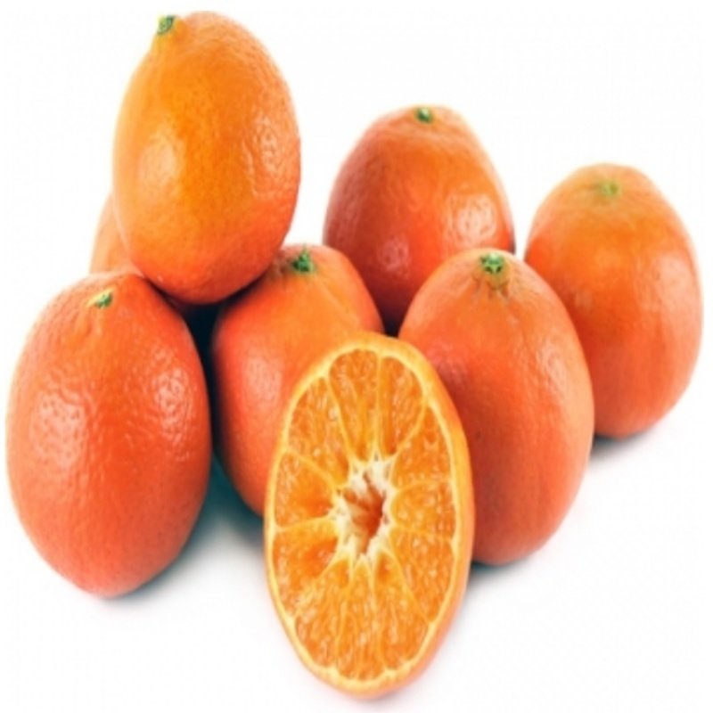 Hizli Gonderim Tuplu Seker Orani Yuksek Fremont Mandalina Fidani