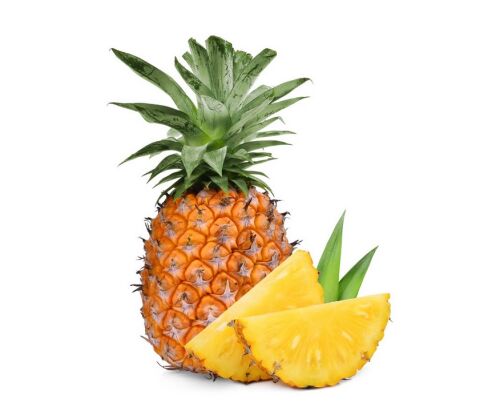 Tüplü Nadir Bulunan Ananas Fidanı (9 LUK saksıda mini fidan)