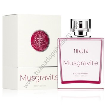 Erkek Parfum Onerileri Ucuz