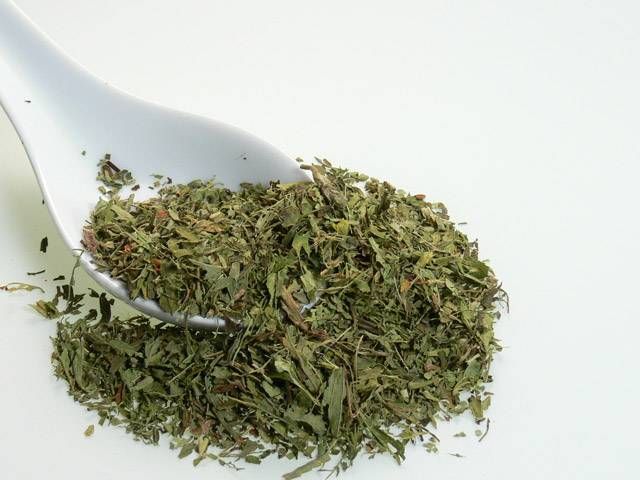 Stevia (Şeker Otu) Kurutulmuş Yaprak 100 gr Stevia Kuru Yaprak