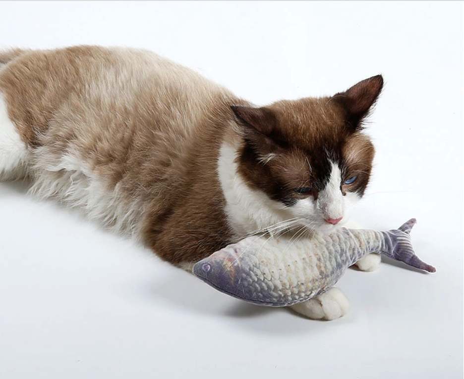 Kedi Oyuncak Balık Boops Petza