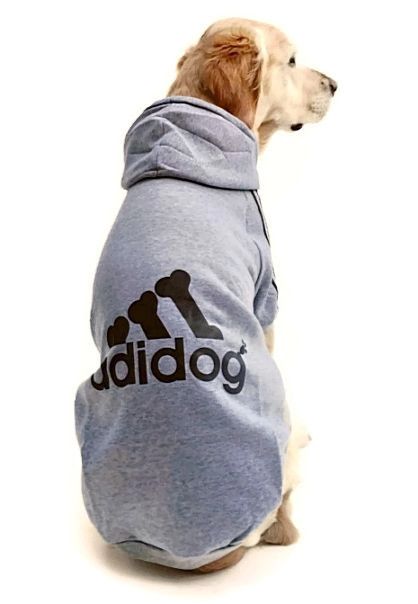 Kopek Buyuk Irk Sweatshirt Adidog Gri Petza