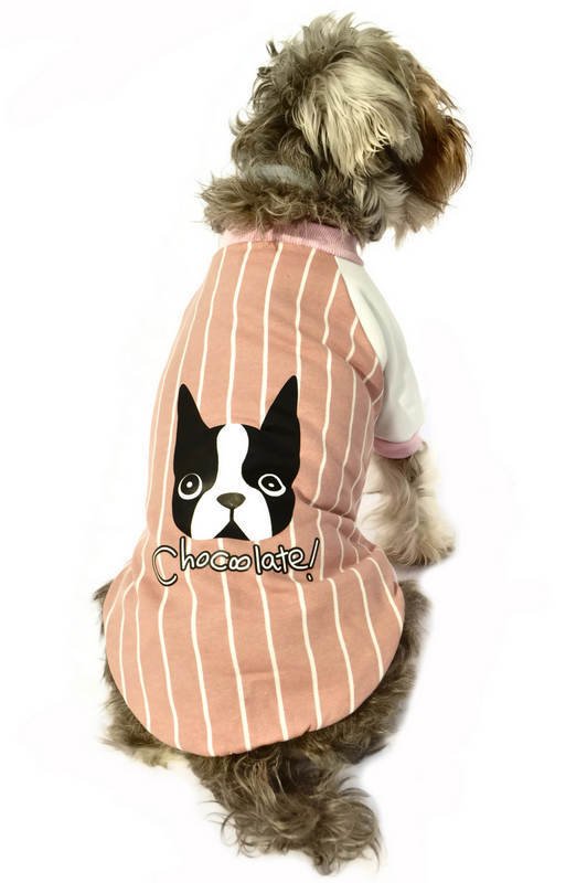 Kopek Sweatshirt Divya Kopek Kiyafeti Petza